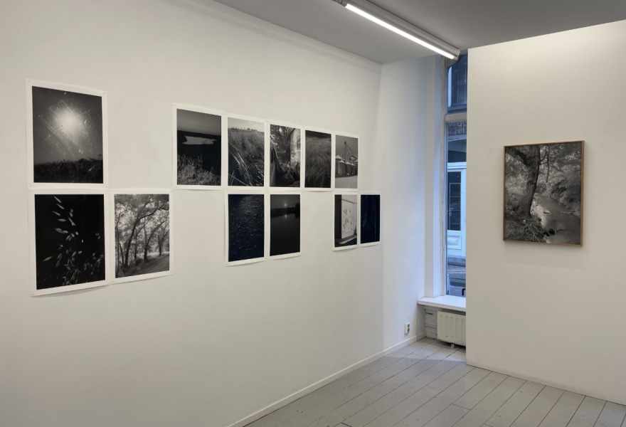 De natuur heeft geen boodschap aan ons en op een bepaalde manier vind ik dat een troostende gedachte | 
Bryan Schutmaat over County Road