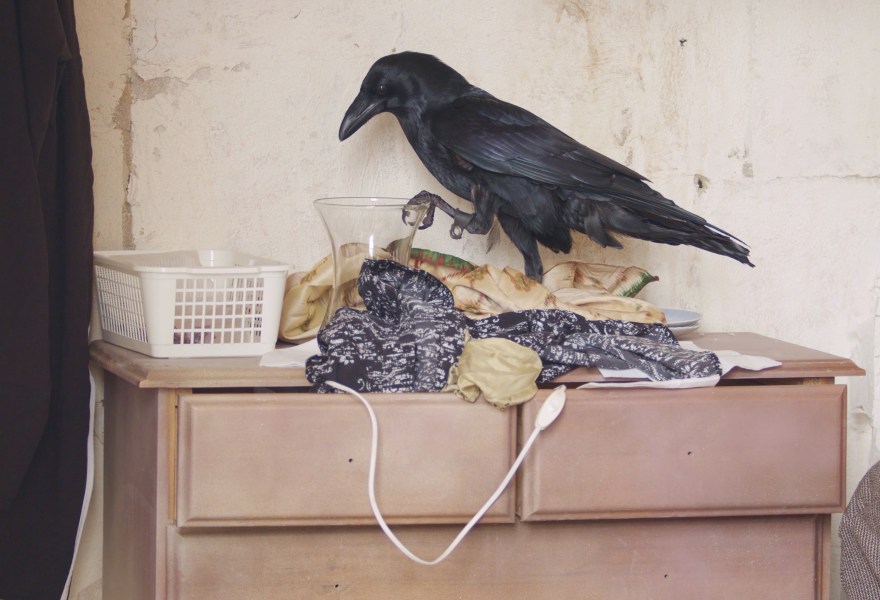 Preview Art Rotterdam | Meet The Artist... Minne Kersten