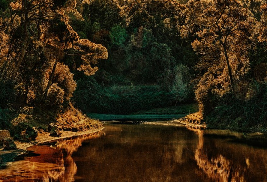 Albarrán Cabrera: “The most important thing is not to try to find a photo but to try to find a feeling."