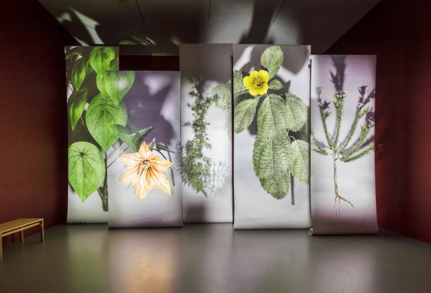 Vooruitblik naar Art Rotterdam | Meet The Artist... Margit Lukács & Persijn Broersen