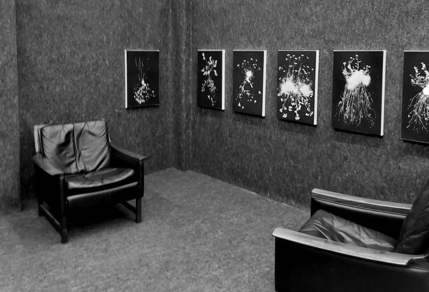 Het gevaarlijk mooie werk van TINKEBELL.