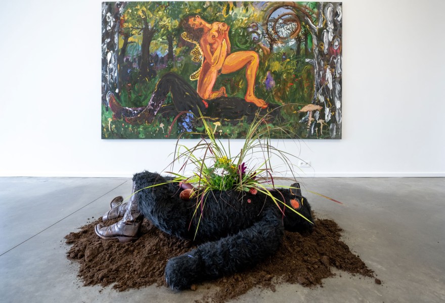 De ontroerende en ontwapenende werken van Katarina Janeckova