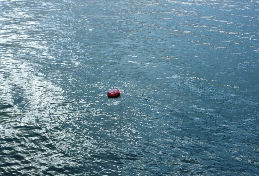 At a Moment’s Notice – new work by the Sanchez Brothers