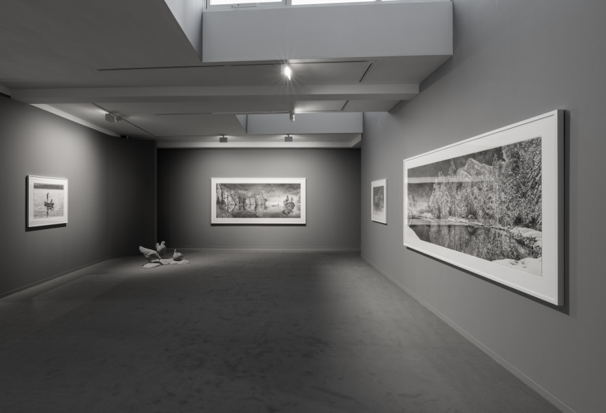 Hans Op de Beeck: the reluctant optimist
