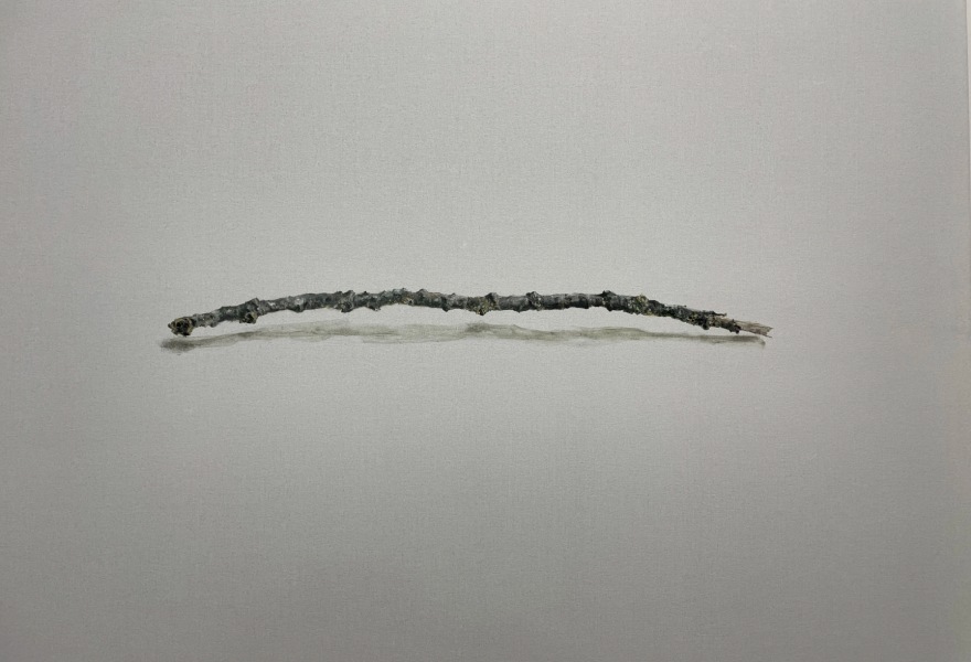 Jean De Groote: Schilder van het grote in het kleine