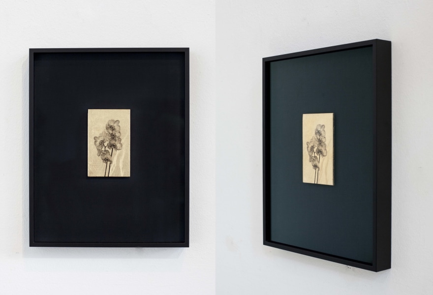 De bloemen van Iris Bergman