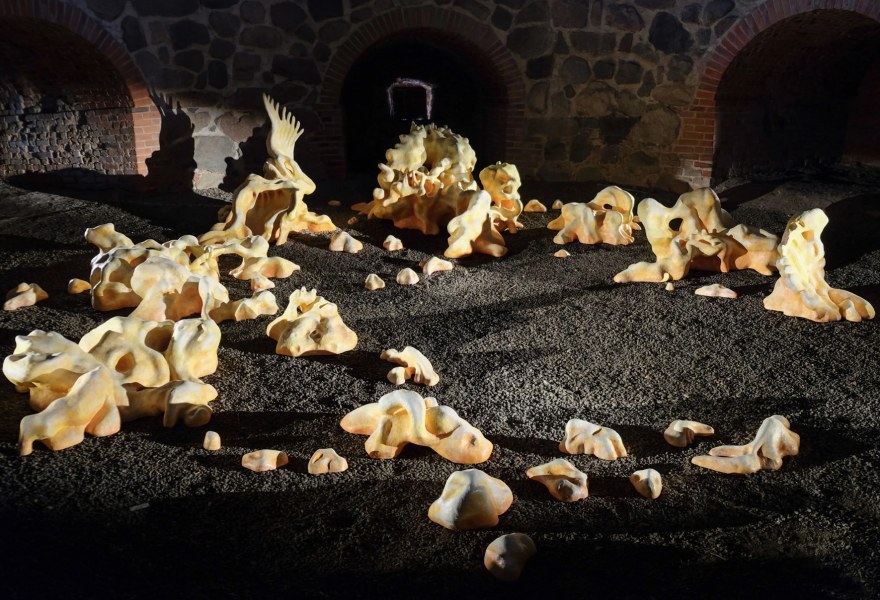 Through Bone and Marrow