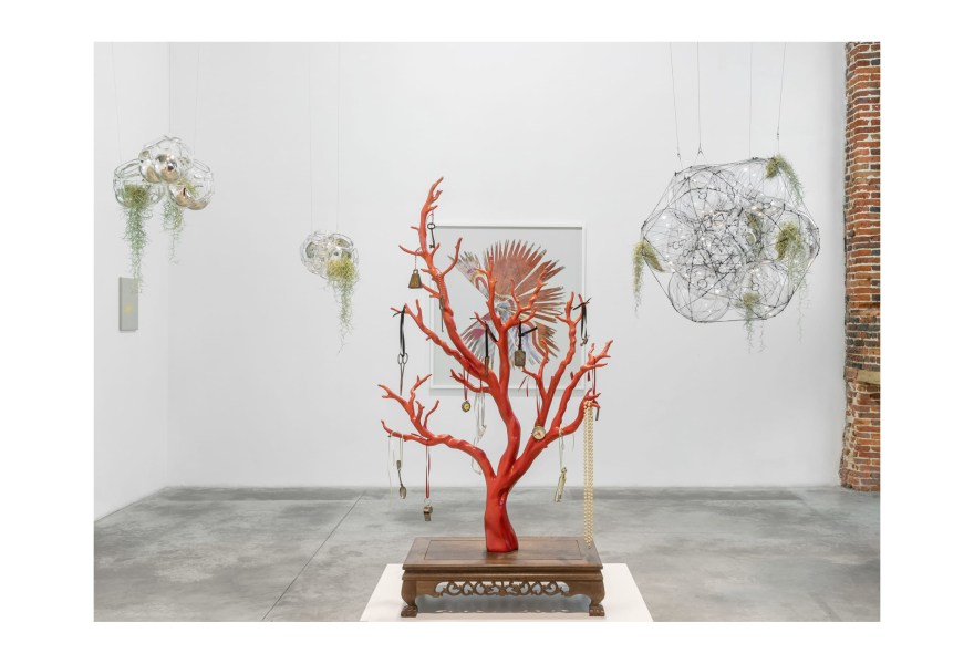 Waldburger Wouters: groeten uit Genua en Brussel