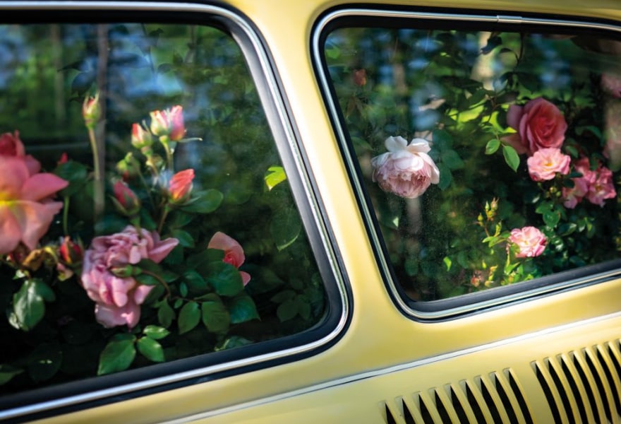 Cig Harvey: the magic of the everyday