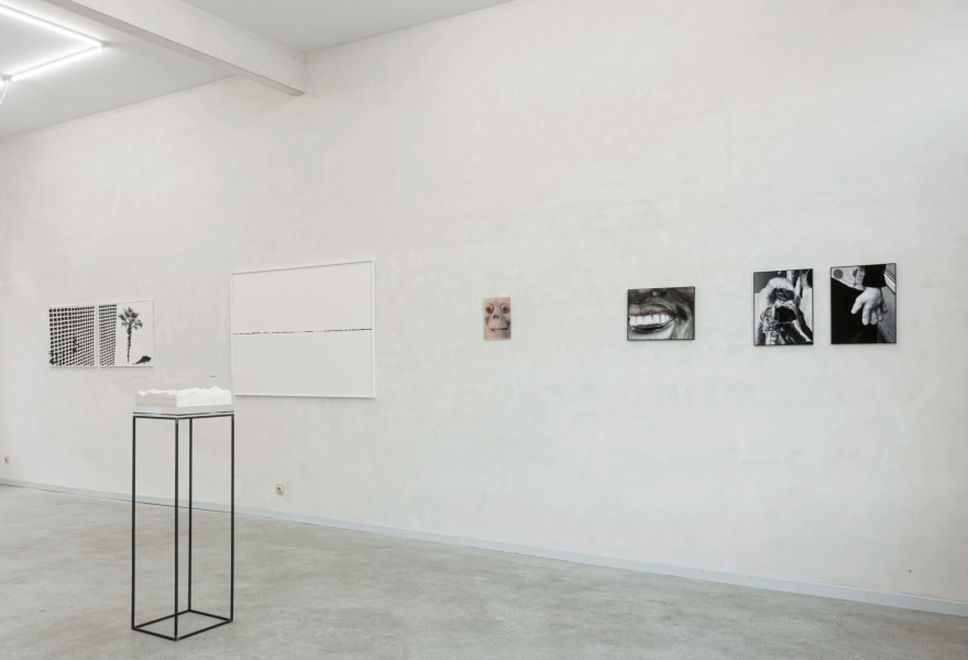 Tussen perceptie en realiteit, de artistieke visie(s) van Griet Dobbels en Evelien Gysen