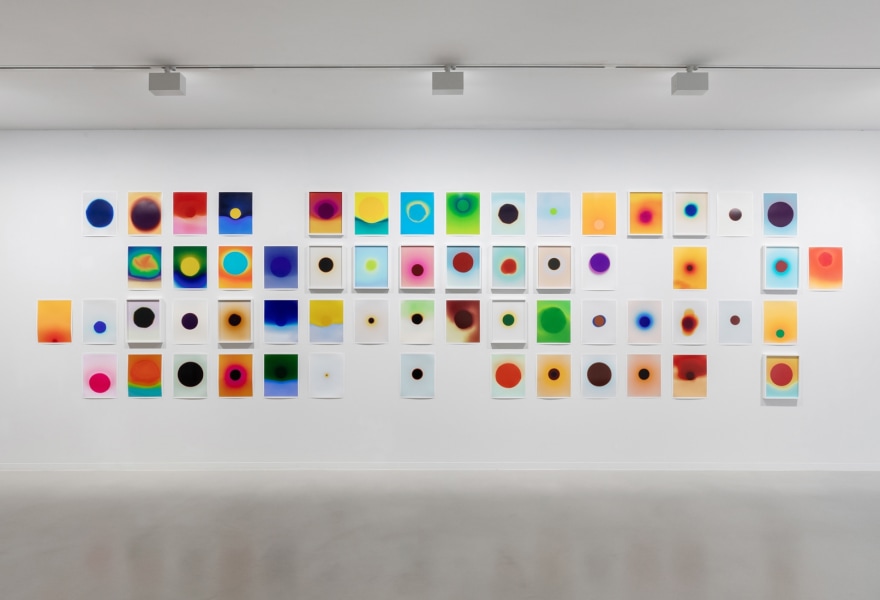 Hybrid identities captured by emerging artist Gilleam Trapenberg