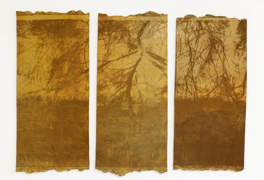 Tanja Engelberts: de Rhône als levend kunstwerk