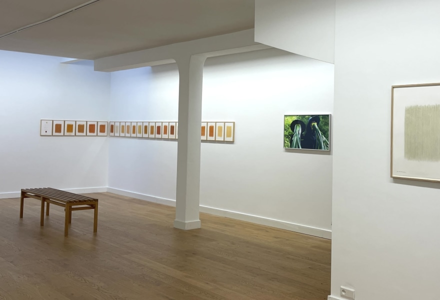 Twee kunstenaars, verbonden door de natuur: herman de vries & melanie bonajo