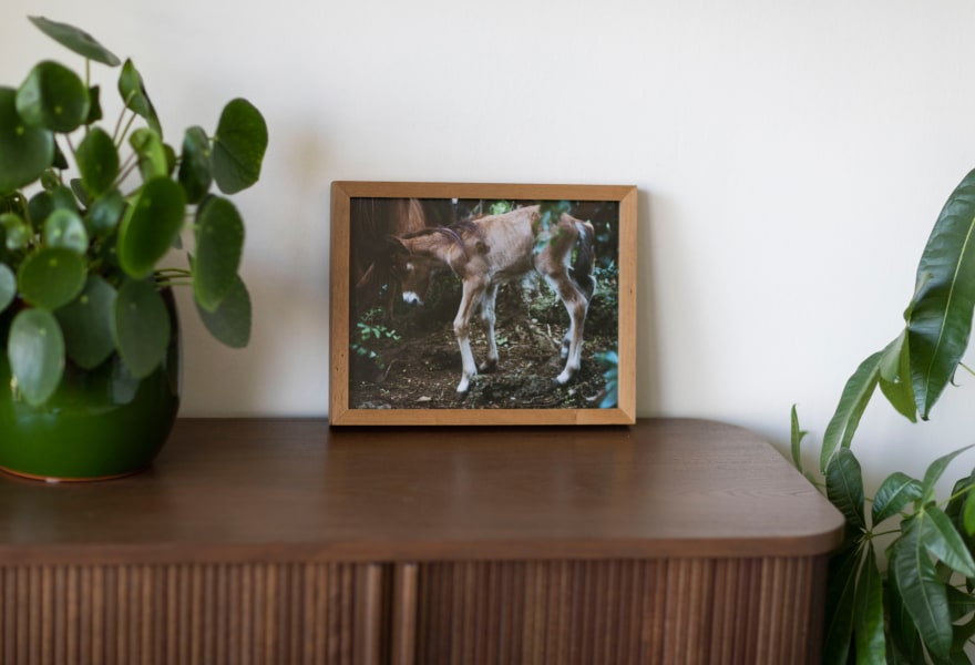 Tips from Het Grote Kunstkoopboek by Young Collectors Circle part 3