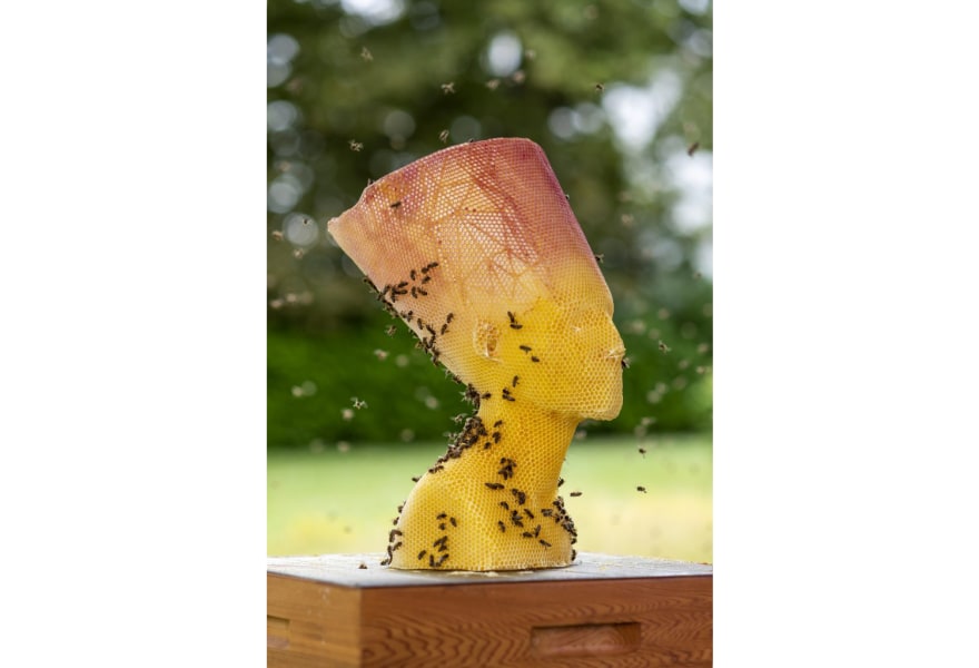 New section at Art Rotterdam: Artistic Matter