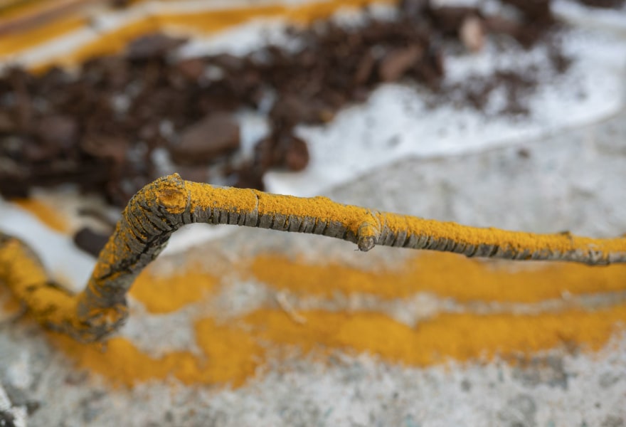 Looking back with… Monali Meher, the winner of the NN Art Award 2023