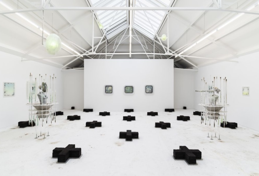 Between ecology and technology | Adriano Amaral's hybrid world