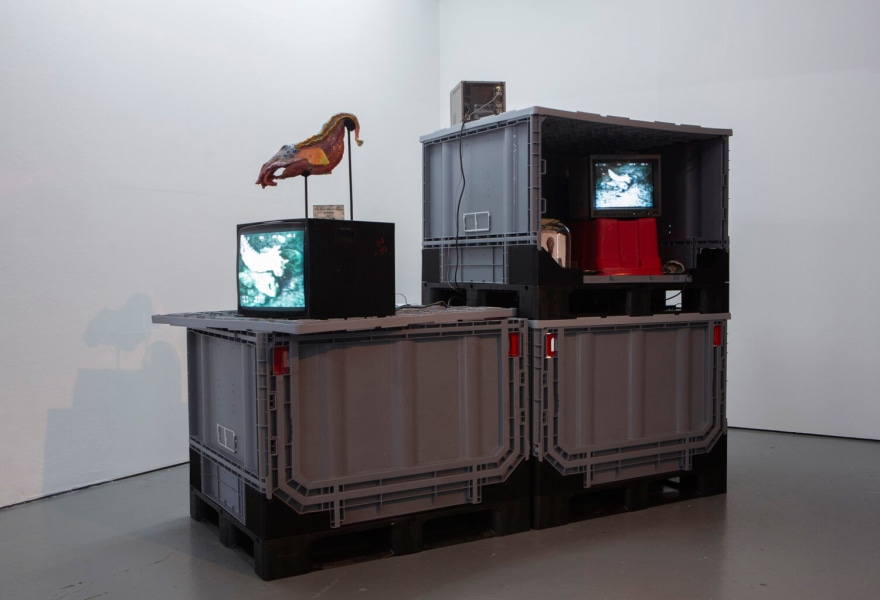 Anemoon Fokkinga en Rik Laging over hun nieuwste project ‘Aquatic Fauna Research Lab (A.F.R.L.) – Chapter Two: Adapting and Evolving’