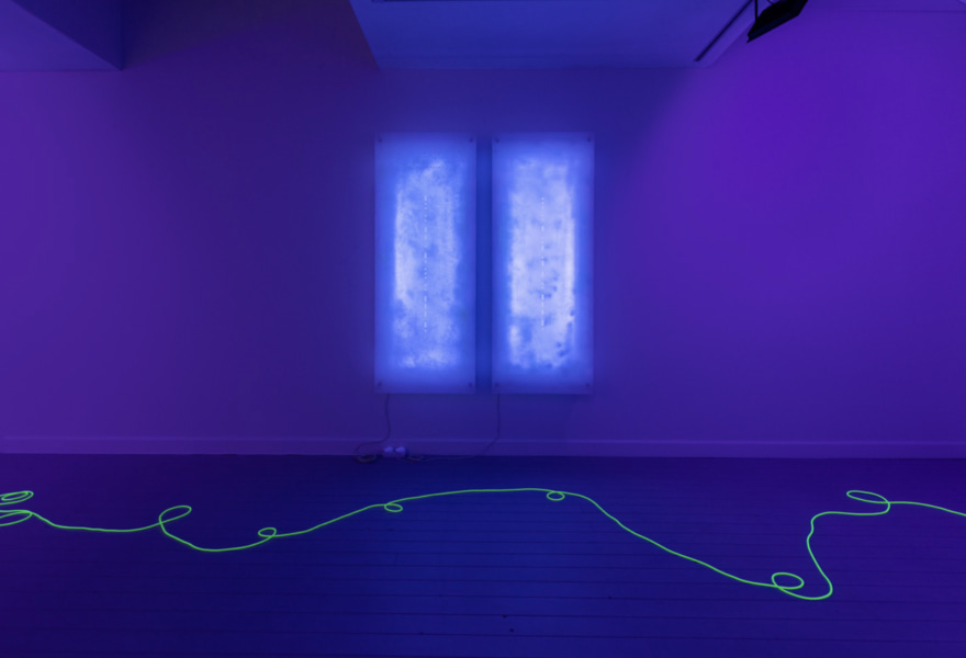 Last chance: light, language and code in the work of Brigitte Kowanz