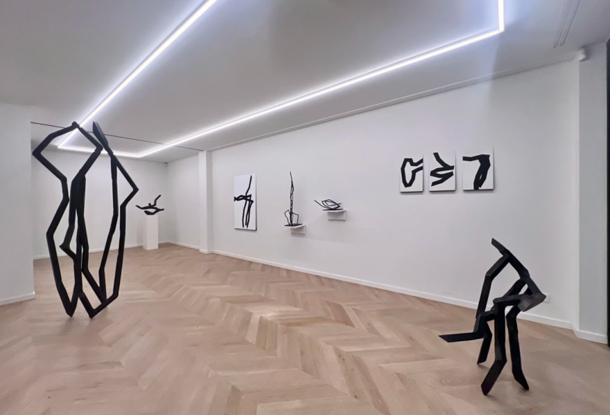 Robert Schad, tekenen met (s)taal