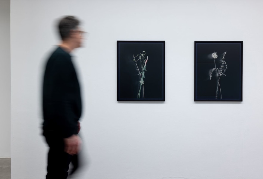 Last chance: the presence of absence in the works of Axel Hütte