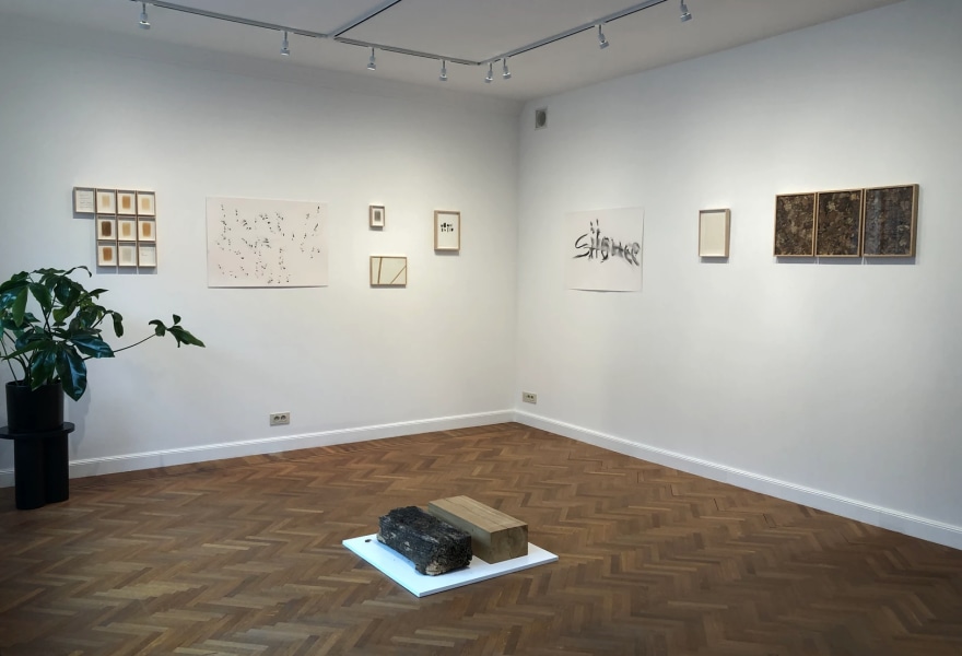 Between roots and imagination: harvesting according to de vries