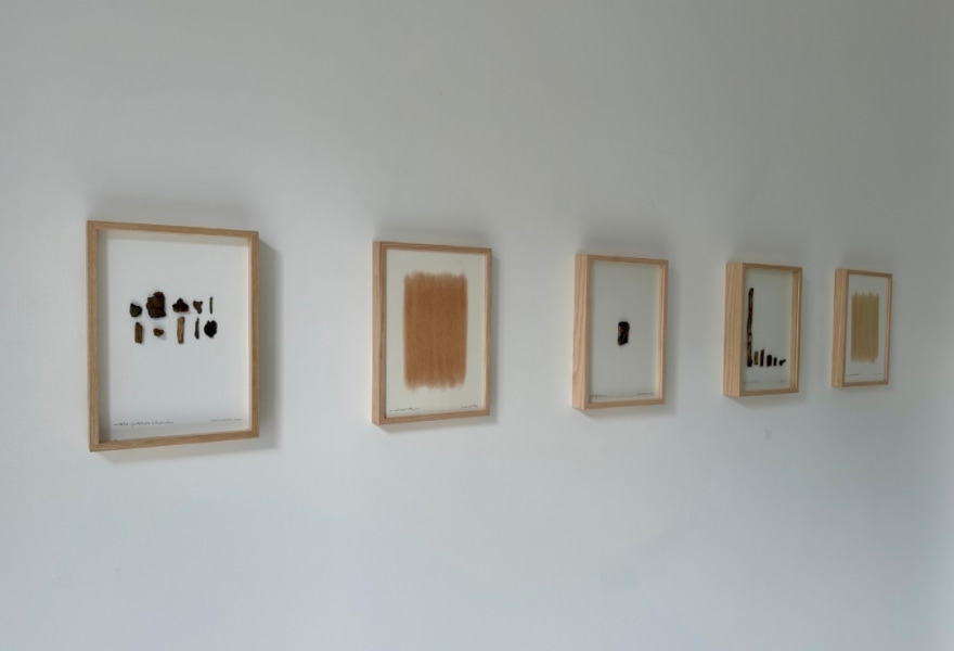 Tussen wortels en verbeelding, de vries’ oogst