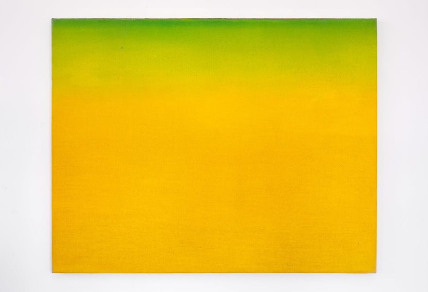 Jannie Regnerus: een kruisbestuiving tussen taal en beeld