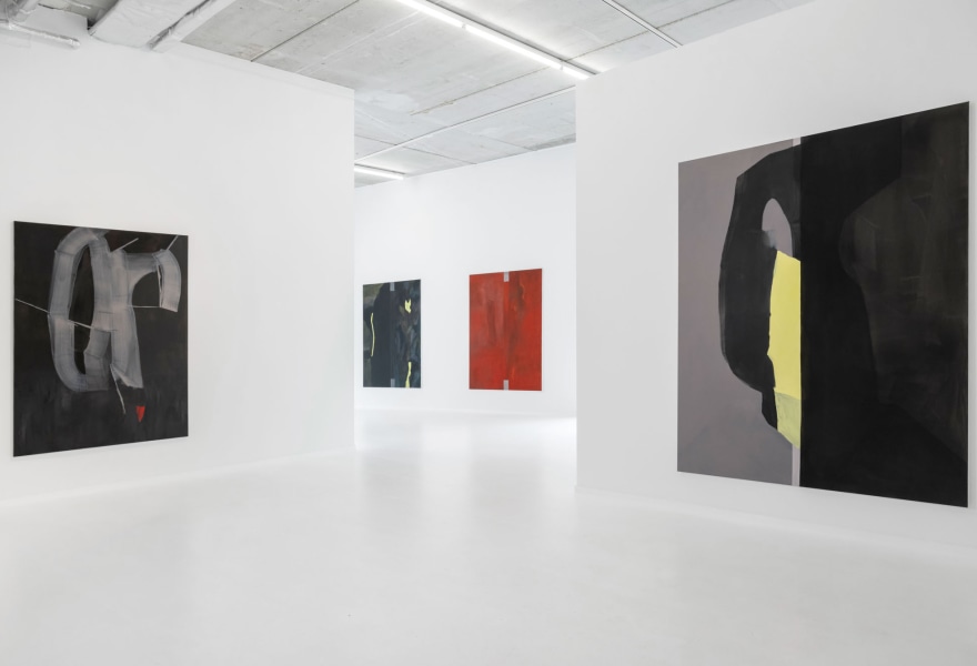 The slowly unfolding images of Stef Driesen