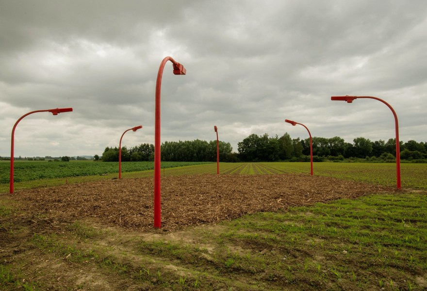 De gebogen getuigen, rouw en reflectie tijdens het Kunstenfestival Watou