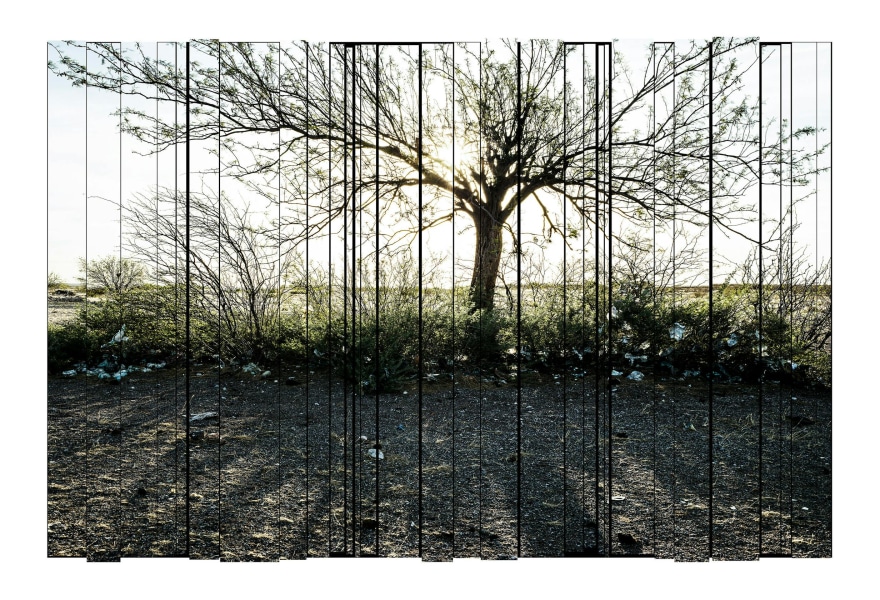 Preview Unseen: Barry Salzman: the landscape as witness