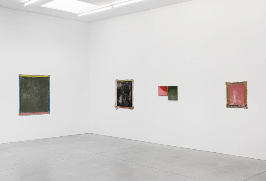 Wat leeft er onder het asfalt?