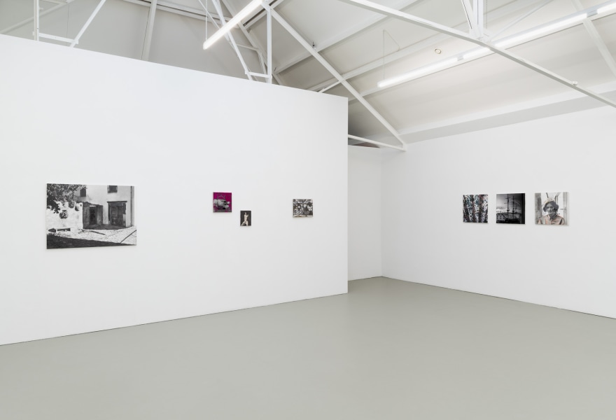 Copilot, Voice and Vision