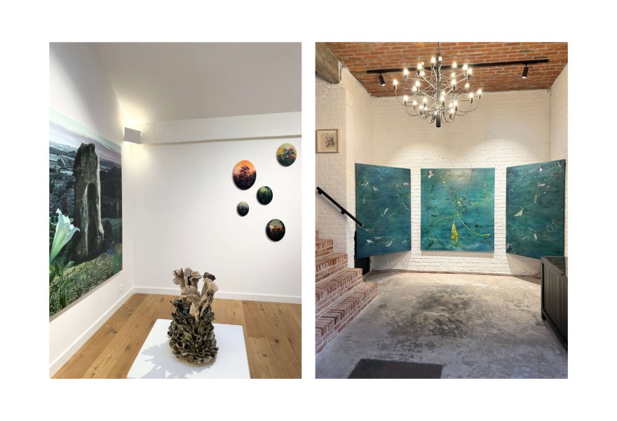 A Rose Right on Target at TaLe Art Gallery