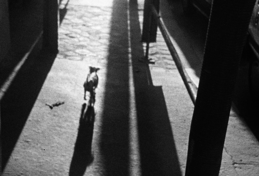 Mark van den Brink and the magic of the spy camera