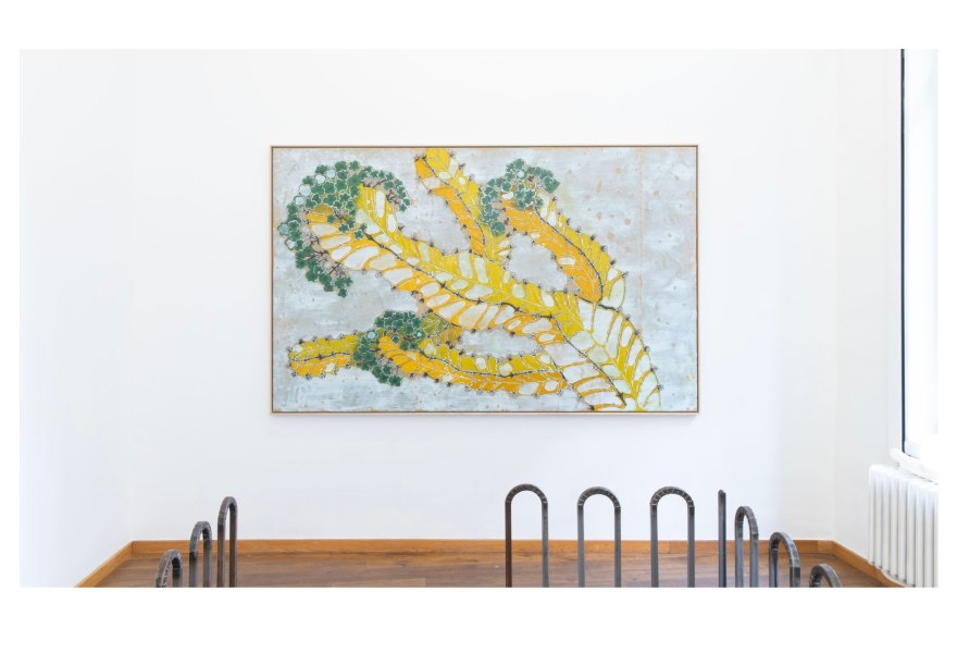 Zaadjes van vernieuwing: Ewoud Viane’s eerste tentoonstelling 'sunny-side-up'