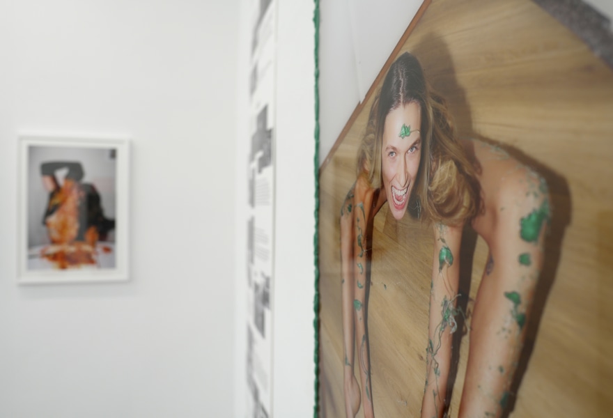 Birds of Paradise or the vanishing of the ‘social’ in social media