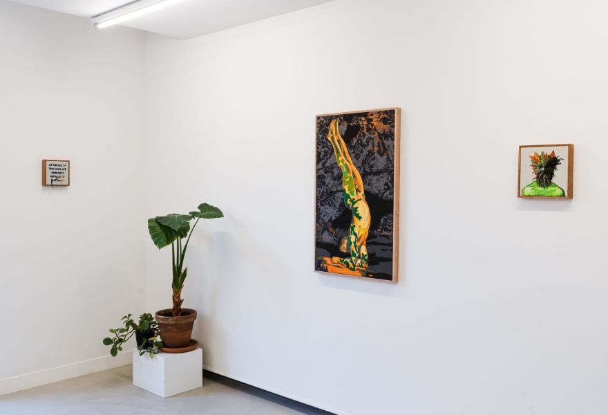 Lawrence James Bailey: tussen systeem en natuur