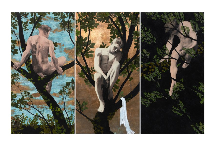 Luis Xertu: where plants reveal queer stories