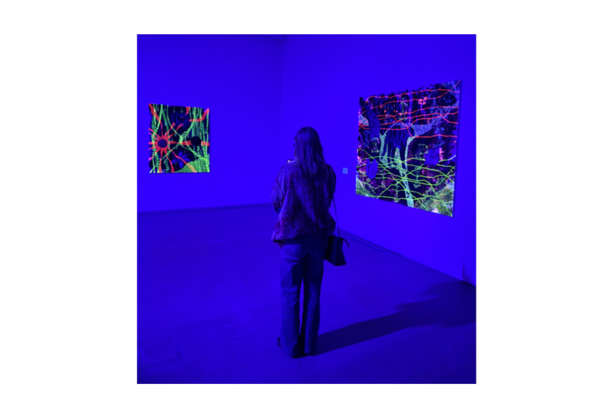 Christian Ouwens Gallery in fluorescent blue