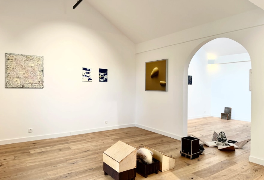 The Surface Holds No Secrets: schilderkunst als levende huid