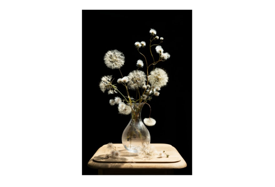 NEXT: Galerie Helder toont werk van 3 pas afgestudeerden