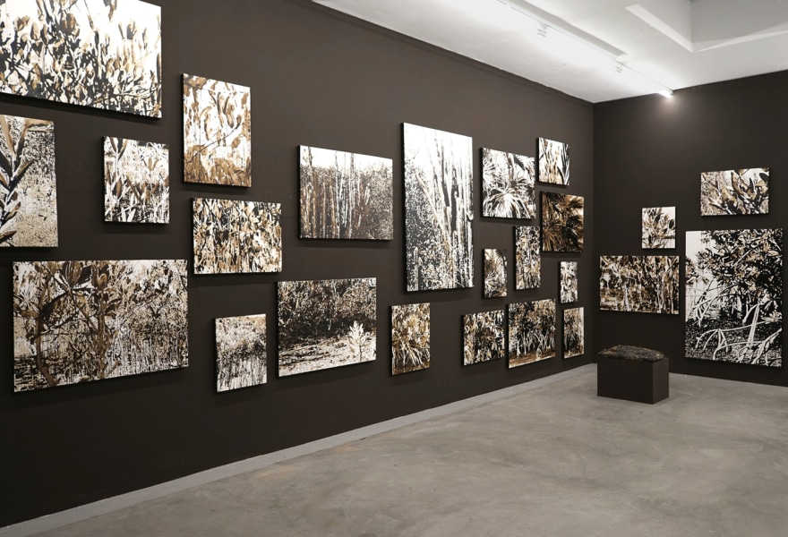 Oleum Shell isla de Curaçao: TINKEBELL. at TORCH Gallery