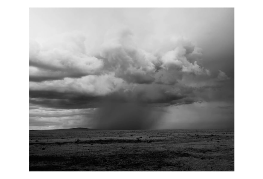 “We also need beauty”: Bryan Schutmaat at Galerie Wouter van Leeuwen