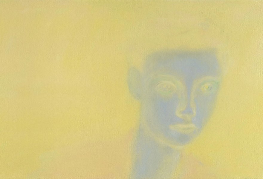 De Dubbele Huid van het werk van Micha Patiniott bij Christian Ouwens Gallery in Rotterdam