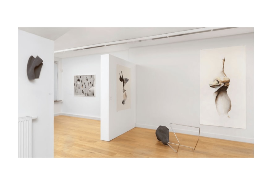 Sophie Järvinen Postma: an invitation to feel