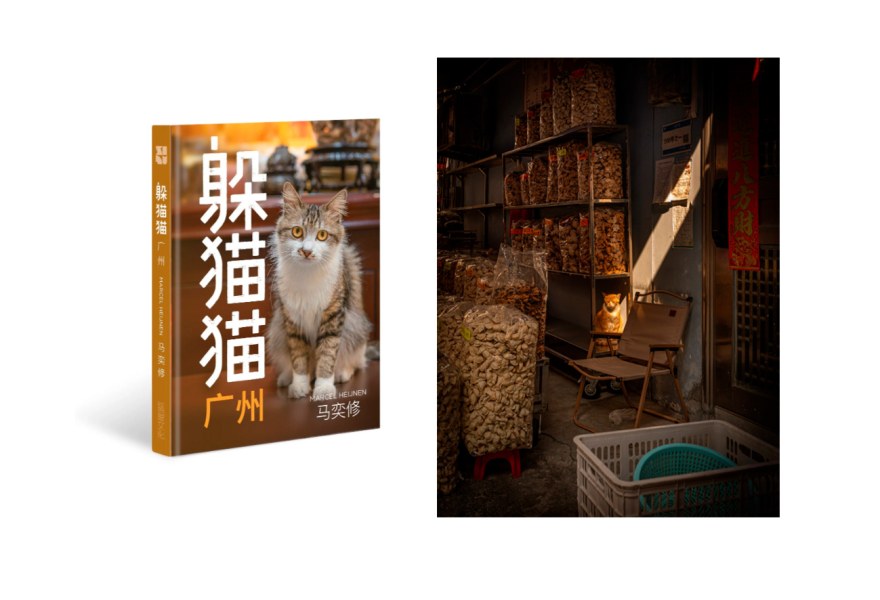 Book Launch of Hide & Seek: China’s City Cats, Guangzhou