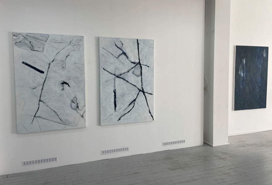 Quand le fleuve devient arbre: George De Decker bij Gallery Sofie Van den Bussche