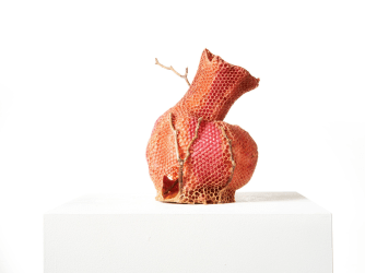 Nature Calls - De dreigende klimaatcrisis