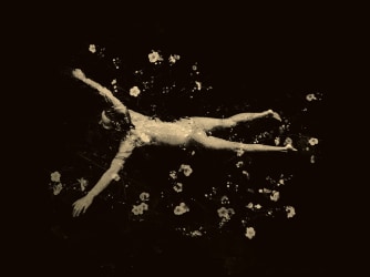 A new gallery is visible on the horizon in Amsterdam